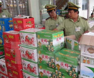 Thu giữ gần 1 tấn trái cây Trung Quốc và nửa tấn nội tạng "bẩn"