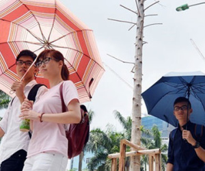 Bắc Bộ nắng nóng cục bộ, Nam Bộ mưa dông