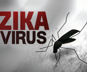 TP HCM tăng phòng chống Zika sau khi một người Đức nhiễm bệnh