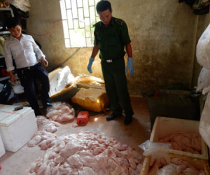 Phát hiện “lò” vú heo bẩn trong biệt thự