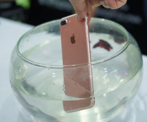 Thử ngâm nước iPhone 7 Plus đầu tiên về Hà Nội