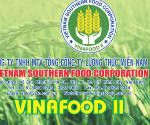 Phó Thủ tướng yêu cầu xử lý lãnh đạo Vinafood 2 để thua lỗ hơn 1.000 tỷ đồng