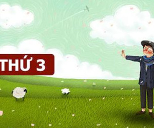 Tử vi thứ ba ngày 20/9 của các cung hoàng đạo