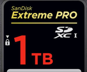 Sandisk SD 1TB cho tín đồ chụp ảnh và lưu trữ