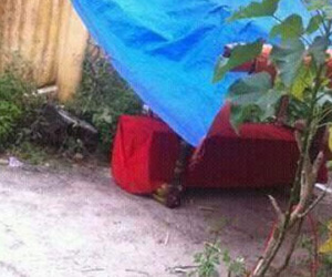 Bắt nghi can chặt xác cột bao tải phi tang