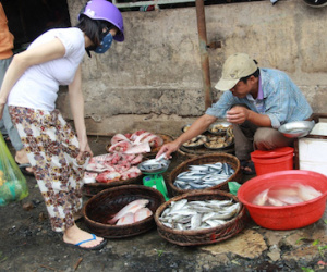 Cá tầng nổi “an toàn”, người tiêu dùng vẫn “né tránh” hải sản