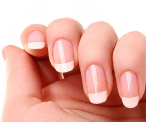 Ngón tay người có thể mọc lại sau khi bị đứt?