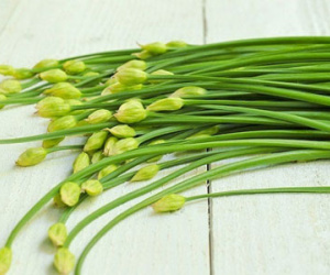 Rau hẹ: Thuốc quý giúp nam giới cải thiện chuyện chăn gối