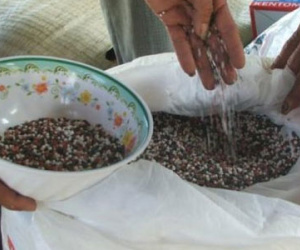 Chống phân bón giả: Họp cứ vỗ tay, thứ trưởng dự 9 giờ sáng đã về
