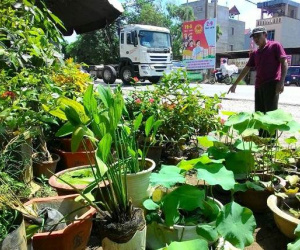 Vụ xe chở tôn tông chết người: Xe đi mượn, tôn chở hộ
