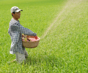Ảnh bìa bài viết 395934