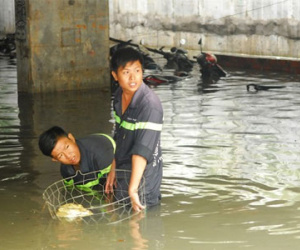 Mưa lịch sử ở Sài Gòn gây thiệt hại hàng trăm tỷ đồng