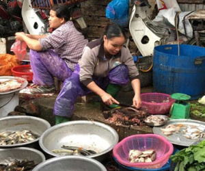 Nửa triệu 1 kg bong bóng cá, dân Hà Nội lùng khắp chợ mua