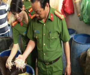 Cơ sở sản xuất giá đỗ dùng hóa chất ghi mác Trung Quốc
