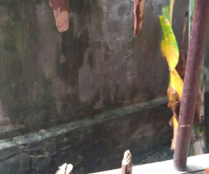Vợ mang tiền ra khỏi nhà, tạo hiện trường bị trộm đột nhập