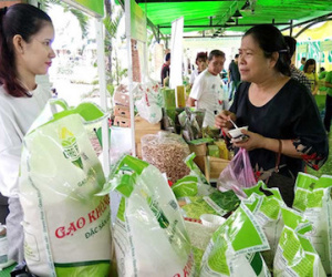 Nhiều lô hàng gạo Việt bị trả về: Khắc phục ra sao?