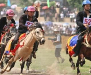 Tập đoàn Hàn Quốc muốn chi 500 triệu USD xây trường đua ngựa tại Bắc Ninh