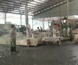 Video: Thâm nhập nhà máy gây ô nhiễm kinh hoàng ở Lạng Sơn