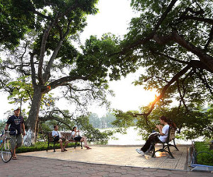Chìm đắm trong vị ngọt của mùa đẹp nhất năm