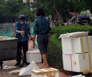 Nghi vấn đôi nam nữ đưa cá chết Hồ Tây vào thùng xốp để tiêu thụ