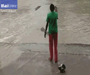 Người phụ nữ "cả gan" cầm dép xỏ ngón đuổi... cá sấu