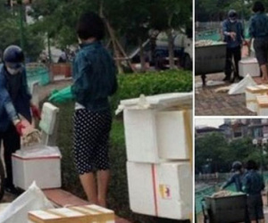Nghi vấn lấy cá chết Hồ Tây tiêu thụ: Công an vào cuộc điều tra