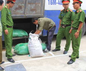 Xe khách chở nửa tấn nội tạng, da lợn thối