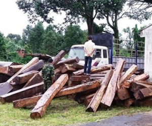 Gia Lai: Bắt gỗ lậu, 20 đối tượng tấn công kiểm lâm