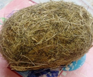 Tiếp tục phát hiện cát lợn gây xôn xao ở Nghệ An