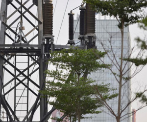 Hà Nội trồng cây dưới lưới điện 110 KV