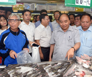 Thủ tướng bác đề xuất lập Sở an toàn thực phẩm của TP HCM