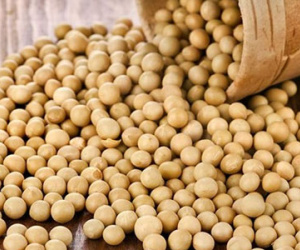5 thực phẩm ngăn ngừa ung thư vú hiệu quả