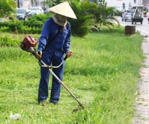 Hà Nội cắt cỏ trở lại sau 3 tháng tạm dừng