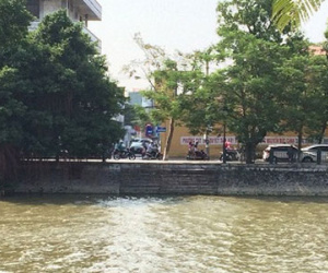 Ảnh bìa bài viết 398888