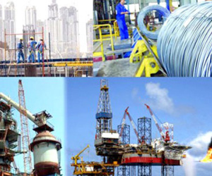 Phó Thủ tướng yêu cầu xử lý doanh nghiệp Nhà nước "cù nhầy" công bố thông tin
