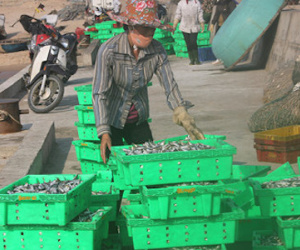 3.000 tỉ đồng Formosa đền bù đã đến 4 tỉnh miền Trung