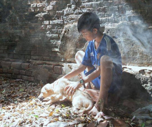 Bức ảnh chú chó bị ốm ra sau nhà để không làm phiền chủ khiến bạn phải rơi nước mắt