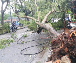 Áp thấp nhiệt đới đã đổ bộ lúc gần sáng