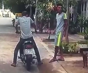Clip: Camera trên ô tô ghi lại toàn bộ cảnh trộm chó táo tợn giữa ban ngày ở Đà Nẵng