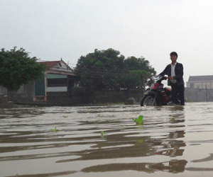 Quốc lộ 7 ở Nghệ An ngập sâu, giao thông tê liệt