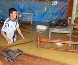 35 người chết, 4 người mất tích do mưa lũ