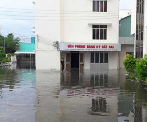 Ảnh bìa bài viết 400551