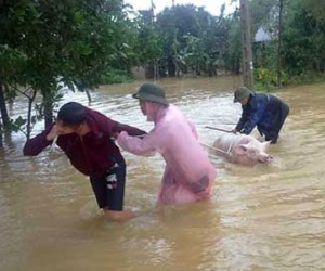 Thủy điện Hố Hô xả lũ gây ngập: "Cơ quan chức năng không thể vô can"