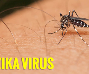 TPHCM công bố dịch Zika