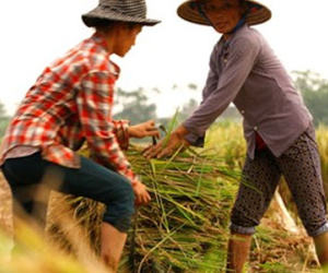 “Chạy đua” cùng bão số 7