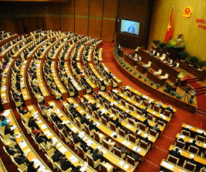 Đại biểu sẽ giơ biển để tranh luận ở nghị trường