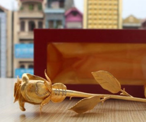 Dân mạng phát sốt vì những món quà 20/10 độc và đắt