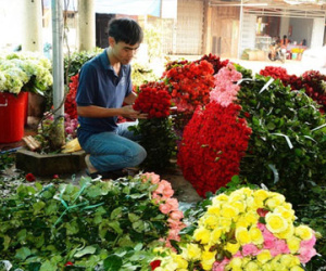 Hoa Đà Lạt khan hiếm dịp 20-10