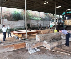 Lãnh đạo tỉnh vi hành lộ chuyện quan sở báo cáo "láo"