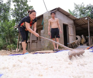 Miền Trung đề nghị được hỗ trợ gạo, hóa chất xử lý môi trường